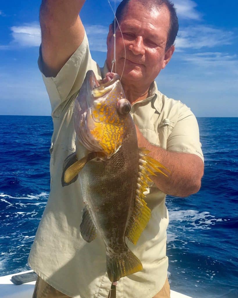 Grouper in Tamarindo