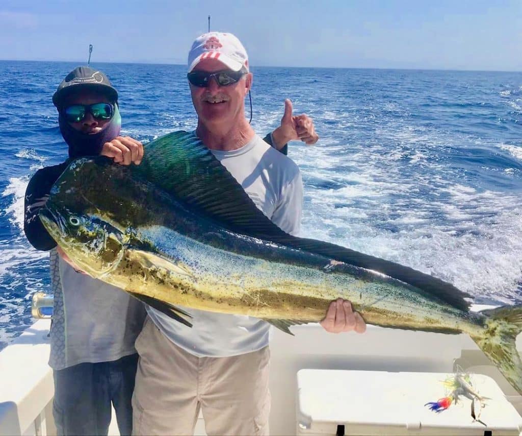 Mahi mahi fishing