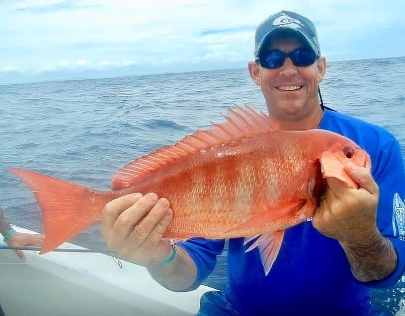 Red Snapper in Flamingo