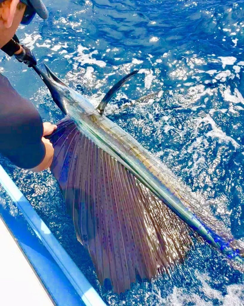 Tamarindo Costa Rica Sailfish fishing