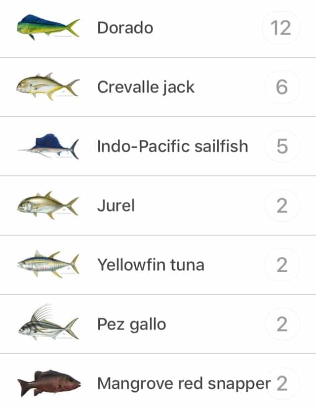 Costa Rica Fishing Charters Costa Rica Fishing License