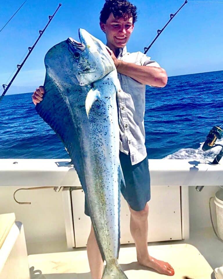 Costa Rica Fishing Charters Photos Gallery Mahi mahi (Dorado, Dolphin fish)