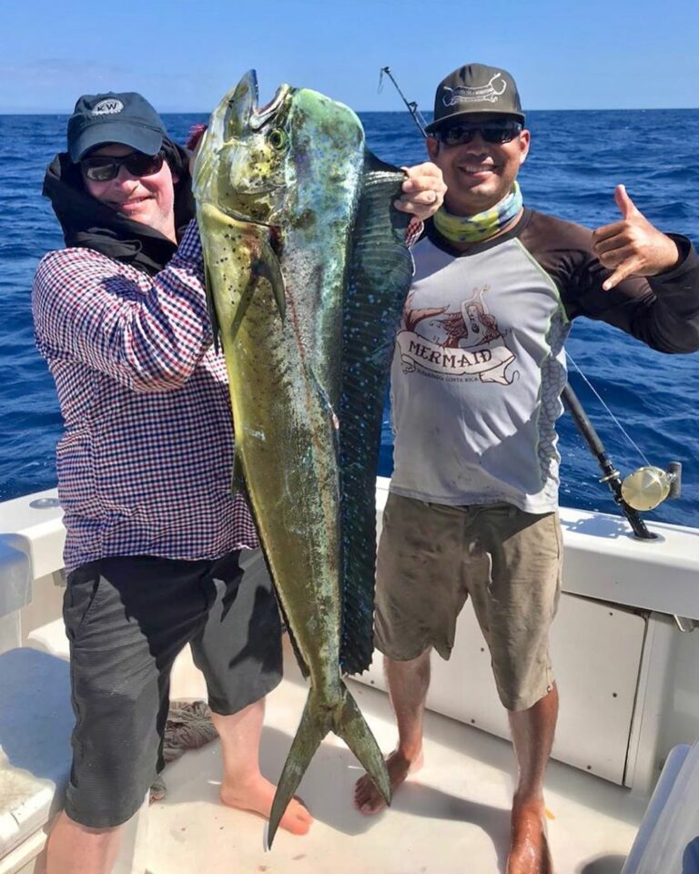 Costa Rica Fishing Charters Mahi mahi (Dorado) Photo Gallery