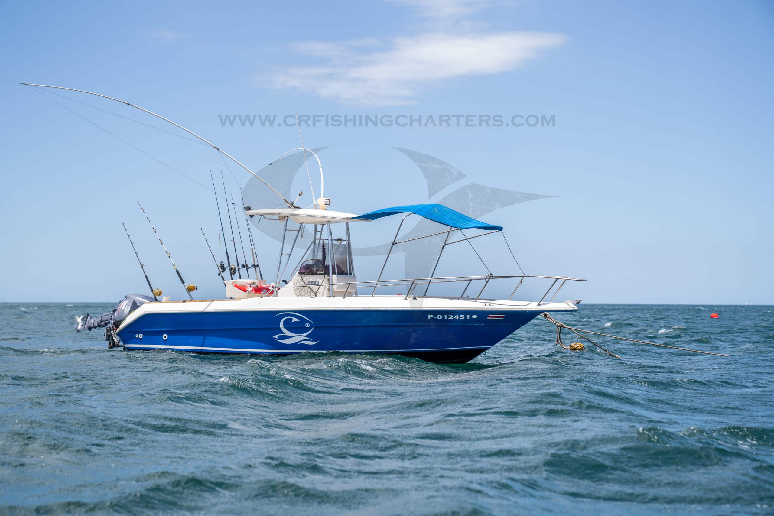 23 ft Sea Ray Center Console, 4 anglers max, Tamarindo by CR Fishing  Charters