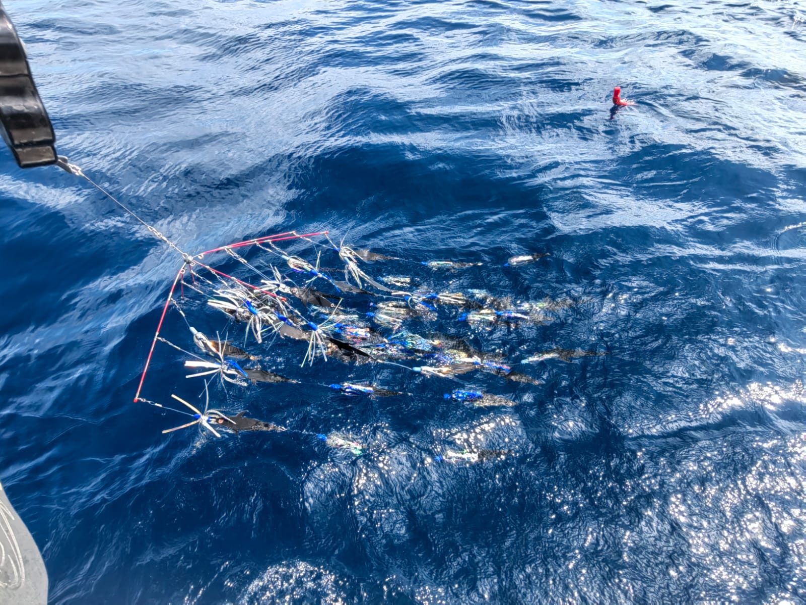 43 ft. Maverick, Dragin Fly, 6 anglers max, Los Suenos by CR Fishing  Charters