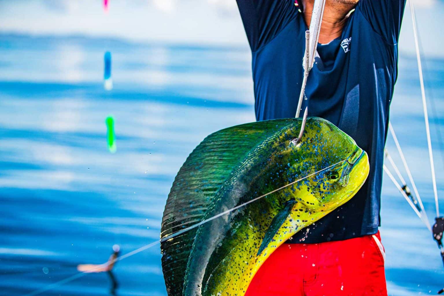 Sportfishing in Quepos, Costa Rica