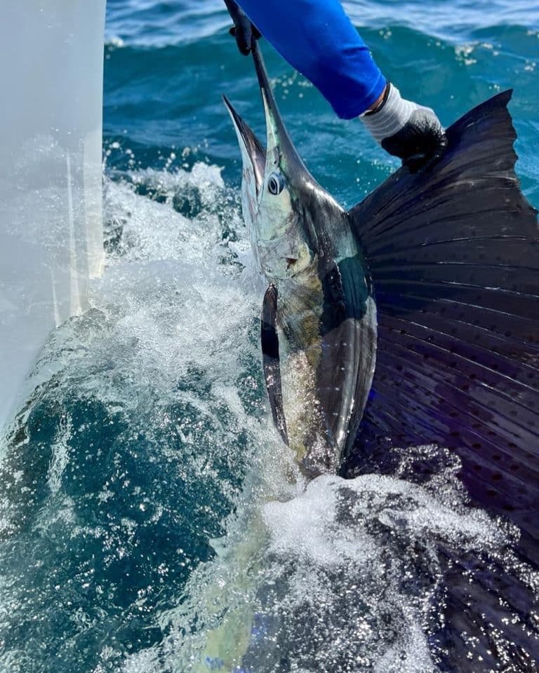 Costa Rica Fishing Charters Photos Gallery